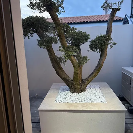 Maison Des Oliviers Villa *
